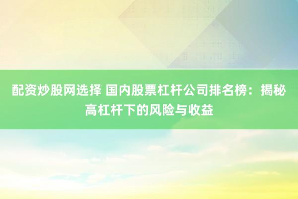 配资炒股网选择 国内股票杠杆公司排名榜：揭秘高杠杆下的风险与收益