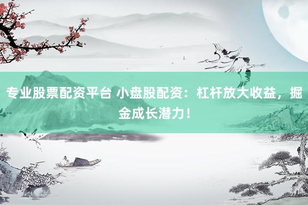 专业股票配资平台 小盘股配资：杠杆放大收益，掘金成长潜力！