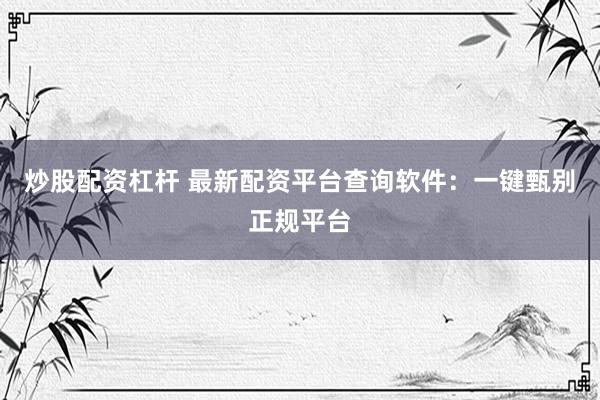 炒股配资杠杆 最新配资平台查询软件：一键甄别正规平台