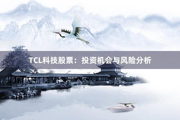 TCL科技股票：投资机会与风险分析