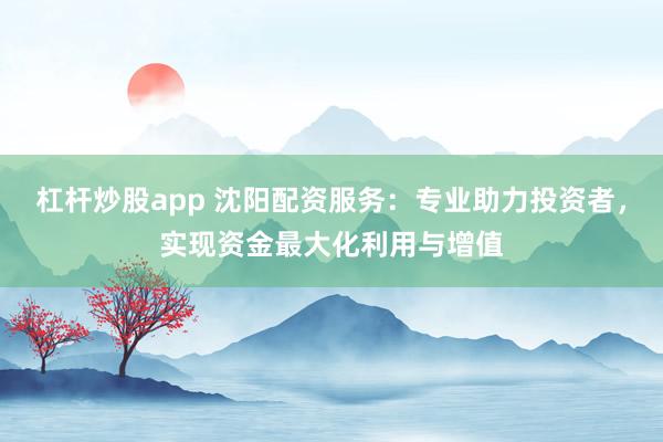 杠杆炒股app 沈阳配资服务：专业助力投资者，实现资金最大化利用与增值